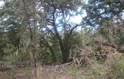 S COUNTY ROAD 315, Interlachen, FL 32148