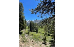 835 Columbine Circle, Kirkwood, CA 95646