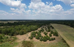 50 acres County Road 1026, Celeste, TX 75423