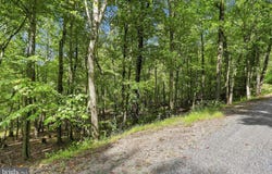 RED MAPLE Drive lot: 69, BAKER, WV 26801