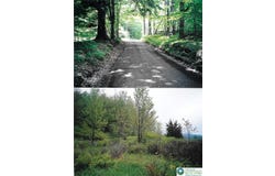 Pantherlick Road, PA 18846