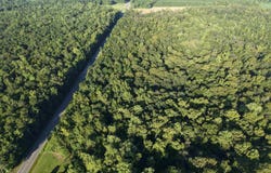 Adrian Hwy., Loris, SC 29569