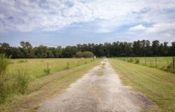 5124 Highway 76, Nichols, SC 29581