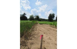 Farrand Road, Colon, MI 49040