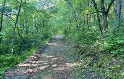 Highway 131, Gays Mills, WI 54631