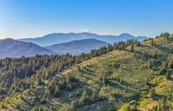 Woodchuck Road, Bozeman, MT 59715