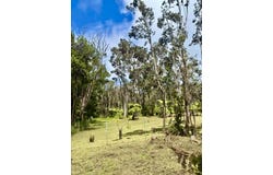 HAUNANI RD, Volcano, HI 96785