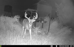 Brownell HC, Brownell, KS 67561