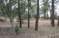 004U Elk Trail, Show Low, AZ 85901