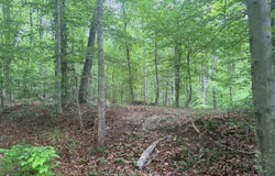 16921 Batestown Rd, Dumfries, VA 22025