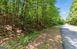 George Road, Cave Spring, GA 30124