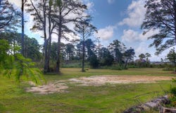 3620 RIDGE RD, CHINCOTEAGUE, VA 23336