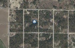 142 Terrace, Williston, FL 32696