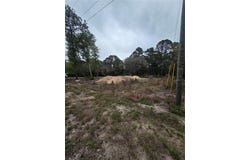 127 SEQUOIA Trail, OCKLAWAHA, FL 32179