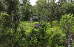 NE Chervil Drive, Lee, FL 32059