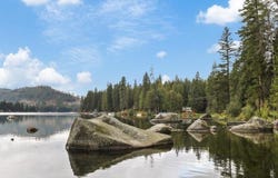 9152 Fertile Valley Rd, Newport, WA 99156