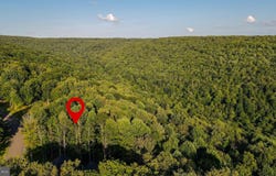 FORK RUN Trail lot: 168, MC HENRY, MD 21541