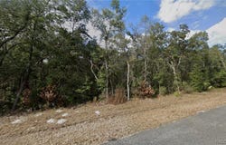 NW 85TH Avenue, Chiefland, FL 32626