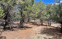 576 Panorama, Crestone, CO 81131