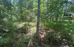Pine Tree Road, Pachuta, MS 39347