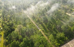 Elmer Thrift Road, Waycross, GA 31503