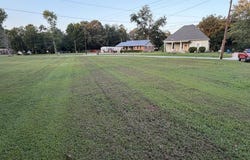 110 Johnson St, TREZEVANT, TN 38258