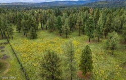 38650 State Route 373, Greer, AZ 85927