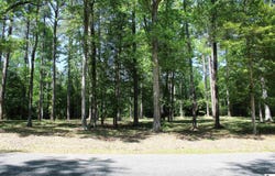 356 WOODSWAY CIRCLE, Chatham, LA 71226