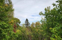 Lynde Ave, Bayfield, WI 54814