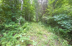 Trillium Way, Clyde, NC 28721