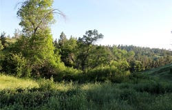 NHN Lone Rock Canyon, Hysham, MT 59038