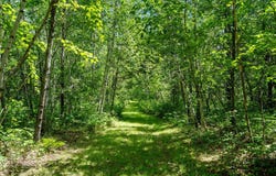 E Mail Road, Gordon, WI 54838