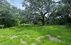 Michel Rd, Belle River, LA 70339