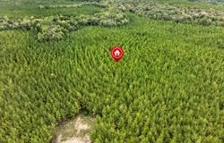 SW Black Creek Road, Gordon, GA 31031