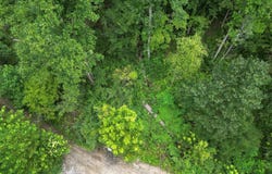 1531 Easter Hollow Road, Ridgeview, WV 25169