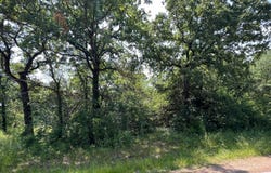 Natchez Trail, Mabank, TX 75156