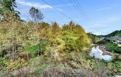 4501 MCGILL TERRACE lot: 25, HOOVER, AL 35226