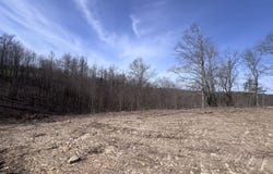4575 Upper Crab Rd, Jamestown, TN 38556