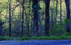 149D-1106A CABIN FORK 6.15AC, DANTE, VA 24237