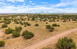 3919 Petersen Road, Snowflake, AZ 85937