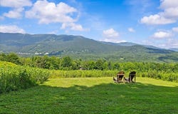 Mountain View Road, Warren, VT 05674
