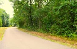 3.91 MOL AC Wingate Rd, New Augusta, MS 39462