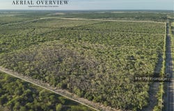 1305 FM 799, George West, TX 78022