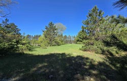 N 3 Road, Mesick, MI 49668