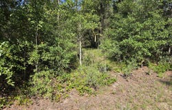 Quail Ridge Drive, Chipley, FL 32428