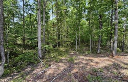 Grant 763 (Lot 23), Sheridan, AR 72150