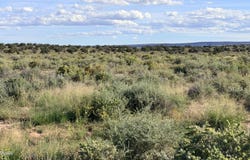 N 6543, St. Johns, AZ 85936