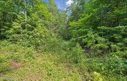 Ridge Rd, Lancing, TN 37770