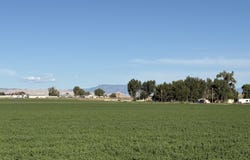 Loma, CO 81524