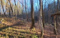535 Collar Hill Road, Calais, VT 05648
